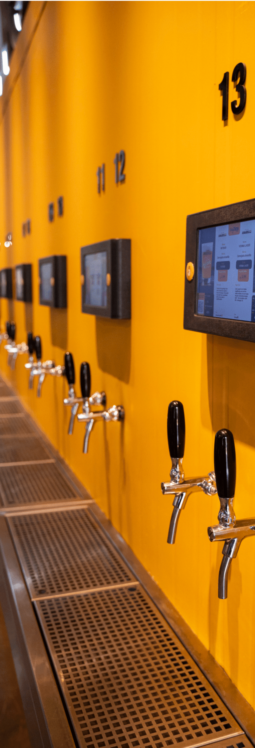 Amarillo 600 x 1760 05